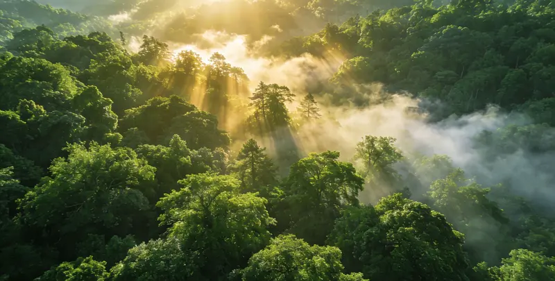 济宁肺癌靶向120基因检测及PDL122C3表达检测套餐（组织）图片1