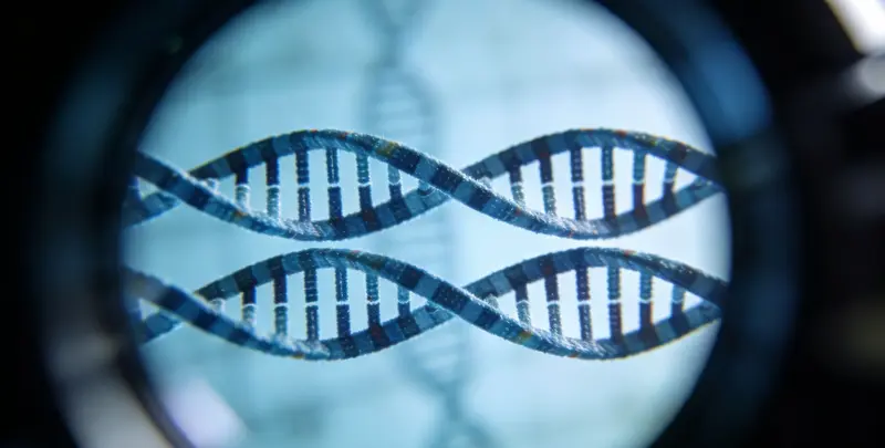 司法亲子鉴定3人图4